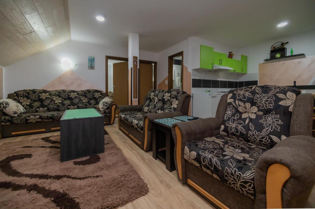 Apartmani Jokic ズラティボール エクステリア 写真