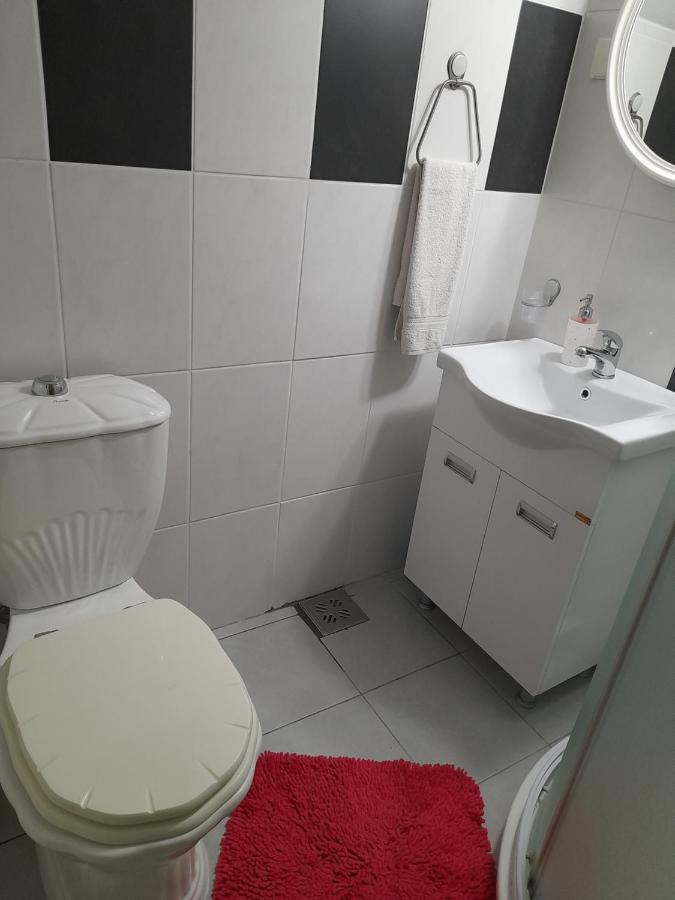 Apartmani Jokic ズラティボール エクステリア 写真